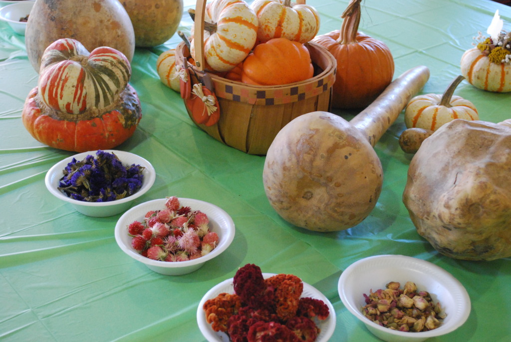 Blooming Pumpkins