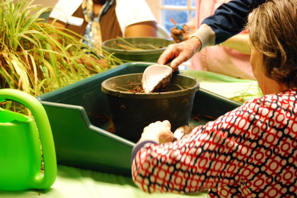 Indoor garden prepwork - Therapeutic Horticulture activity