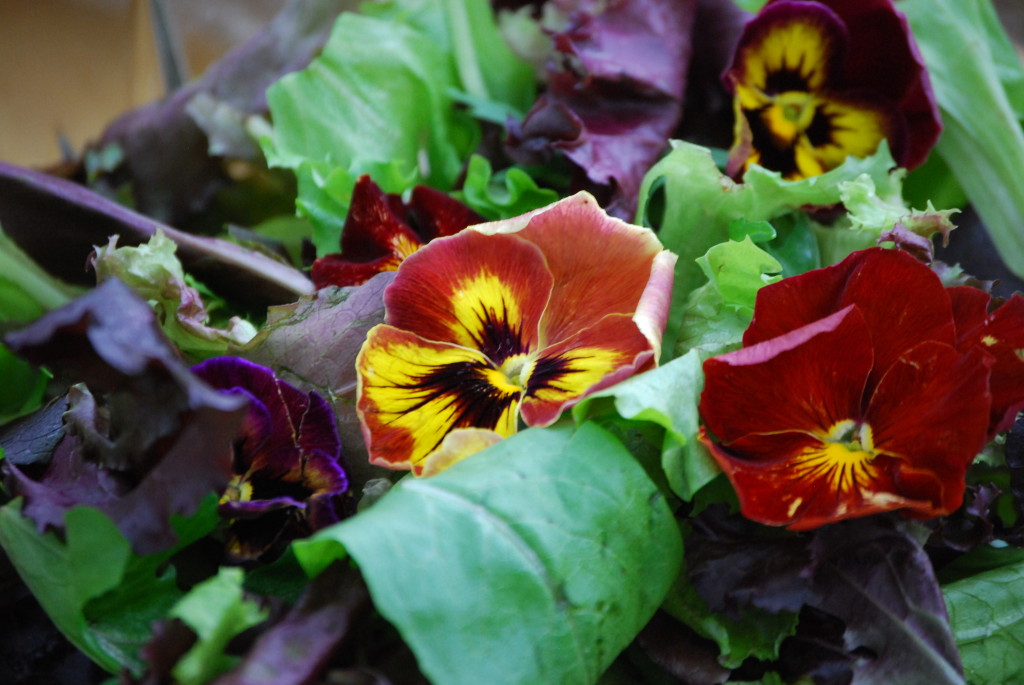 eatbreathegarden_pansy-salad