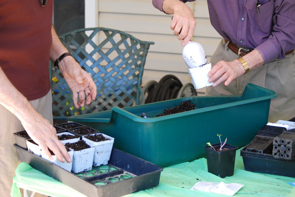 Seed sowing therapeutic horticulture eatbreathegarden