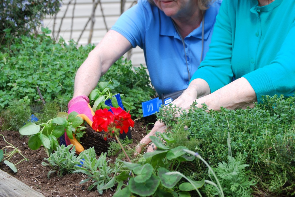 Spring gardening therapeutic horticulture eatbreathegarden