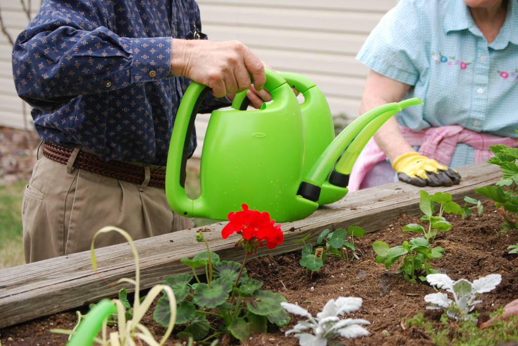 Therapeutic Horticulture - tips on engaging elders outdoors