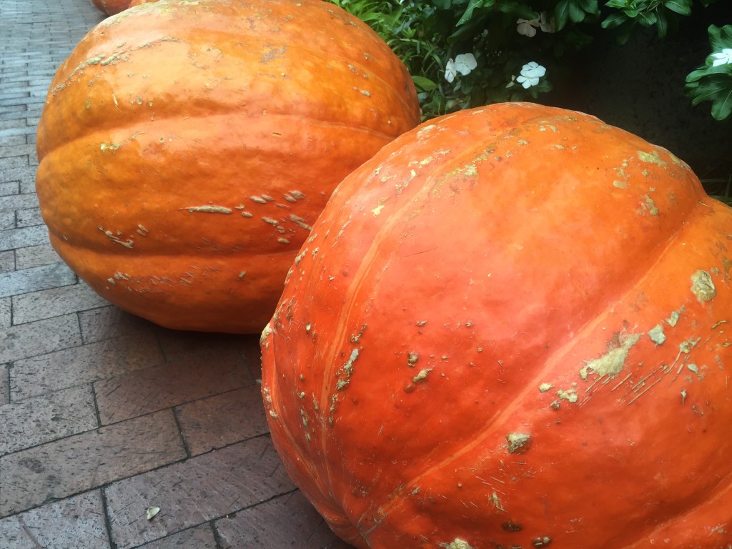 Big Mac pumpkin