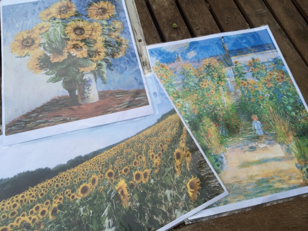 Sunflower program visual cues