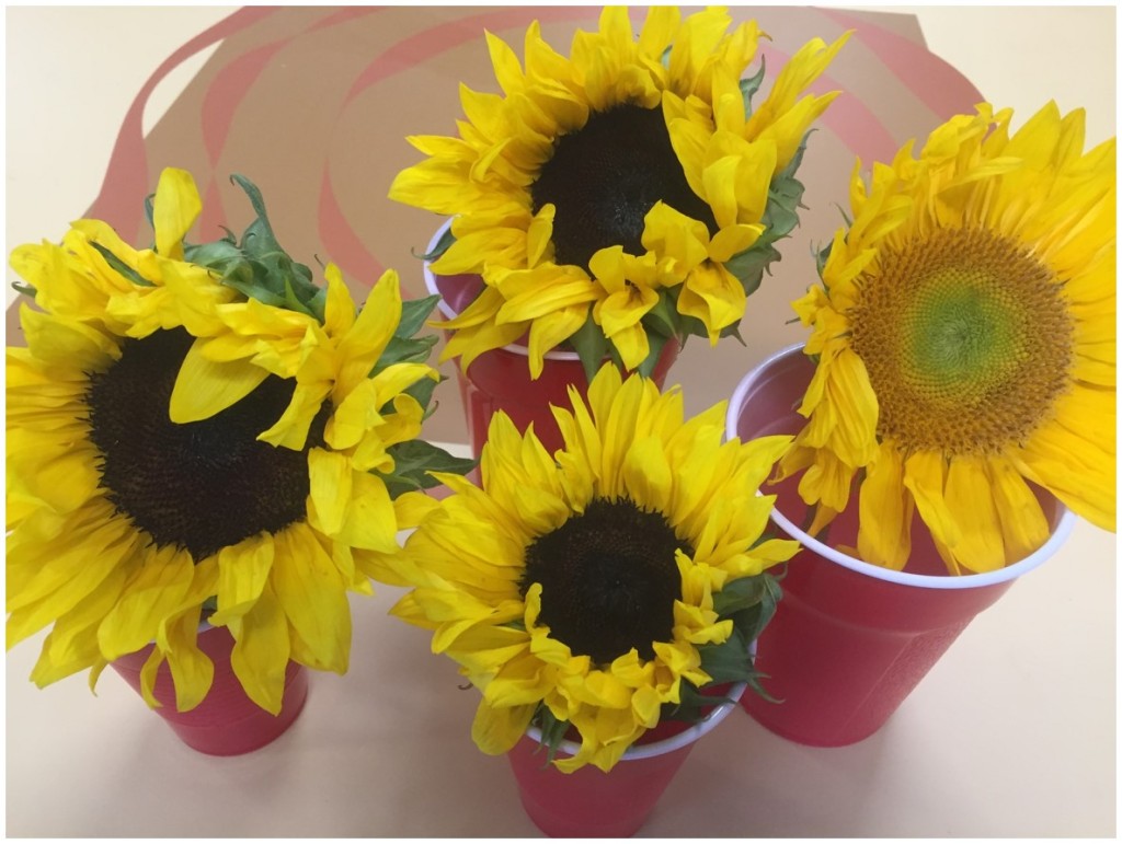 Going "vertical" with sunflowers