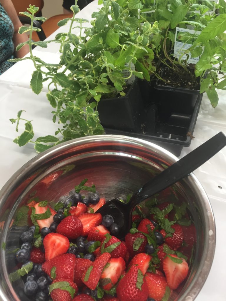 berries-and-mint_eatbreathegarden