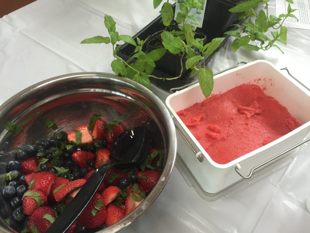 Strawberry-mint-sorbet_eatbreathegarden